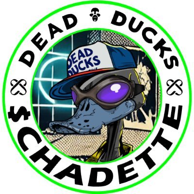 Can I just...
Have fun with memecoins.
Meet some great people.
Earn some money.
CHADETTE