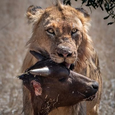 Sammy_west101's profile picture. Crypto // Gift Cards // DM FOR BUSINESS ONLY