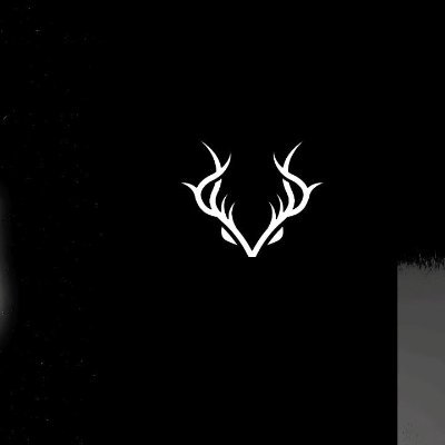 VourlessT's profile picture. 