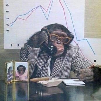 MattAvll's profile picture. crypto degen