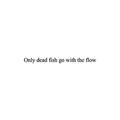 RCheikhzouaoui's profile picture.