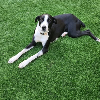 cxd4EyjV5FOVzyp's profile picture. 