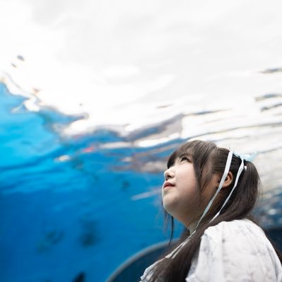 貴方のマスコットになれますか? #みけぽちゃ #ゆるきゃら #あるくましゅまろ 北海道出身 #タベルノスキー アンバサダー #デブカリ と #もぐ研レンタル で会えます🫶既婚者👨👩👦🐱🐶 MBTI▶︎ENFP-T 目指せフォロワー1万人!お仕事のお問い合わせはDMへ雑談は❌