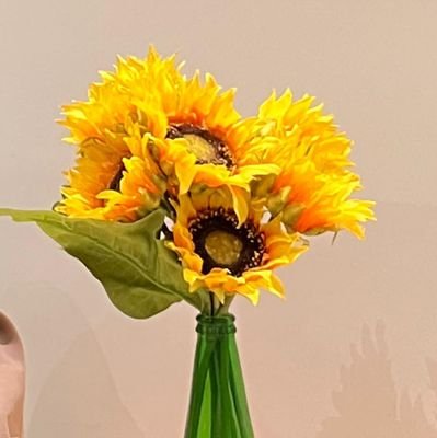 bgiewin's profile picture. 