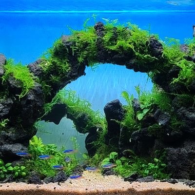 Mcryptomine's profile picture. $Pi is the future