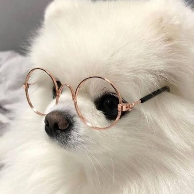 懸賞好きな2児のままです🫶🏻 無言フォローすみませんッ( ;꒳ ; )よかったら仲良くしてください🌼♡ 毎日コツコツと参戦してます🌸 ⟡ グルメ😻 ⟡ お菓子🍫 ⟡ スイーツ🍰 ⟡ ポイ活🧸 ⟡ 当選報告は写真付きで致します🌟