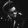 littlee_snow's profile picture. aqui você verá surtos sobre minha vida, the weeknd, demi lovato, palmeiras e ali hazewood.