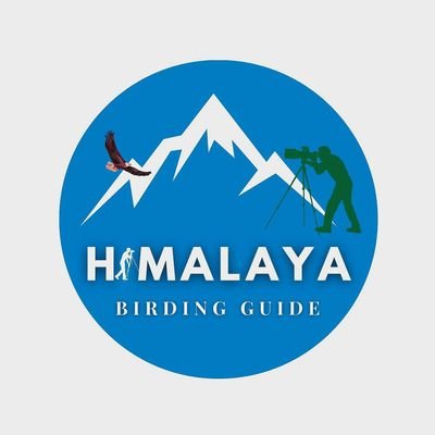 explore himalayan birds wildlife with us from
higher himalayas of Uttarakhand we organize wildlife Photography tours led by bharat puspwan