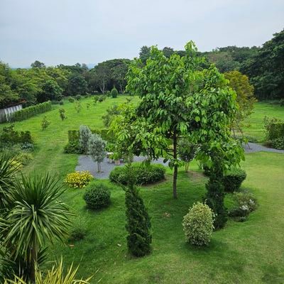 tipbokkk's profile picture. 