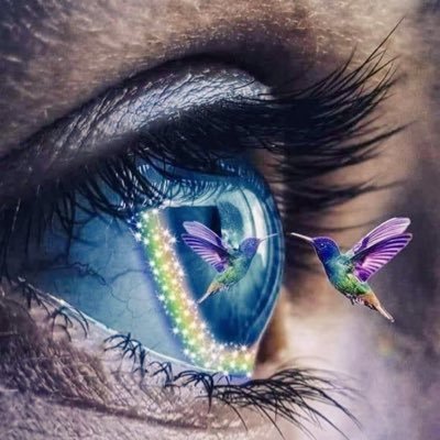 Posting humour, memes, motivation, nature, poetry Grok Art
