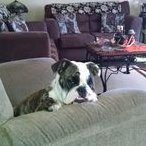 Teresa Beck (@tebec58) 's Twitter Profile Photo