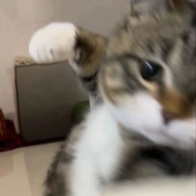 meron8111731508's profile picture. 