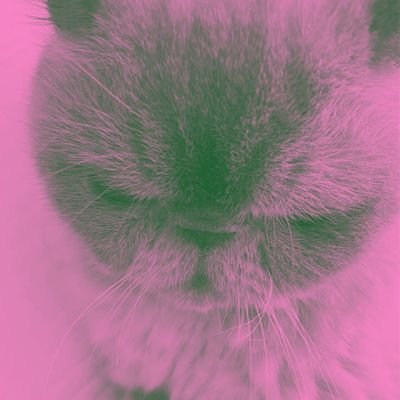 she/her.
isi akunnya kebanyakan ngakak, nangis, atau koreaan.
kalo tweet di akun ini ada yg salah, tolong diingetin ya.