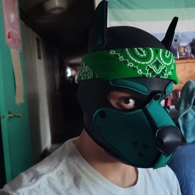♿ 26 Year Old ♎
Proud Puppy 🐶
MINORS DNI 🔞
Free Palestine 🇵🇸
A good boy who loves making friends, making memories, and enjoying good meals.