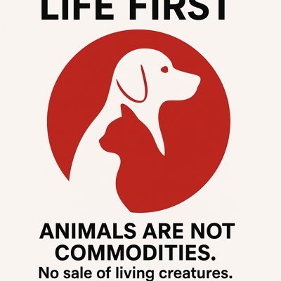 🐾 Protecting animals’ lives. No sale of living creatures. 🐾 動物は商品ではなく守るべき命。ANIMALS are not commodities. 🐾🌱#AdoptDontShop #保護犬 #保護猫 #ProtectAnimals #ライフファースト