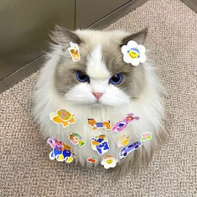 J LAND แดนมหัศจรรย์
คลิปชัดๆอยู่ใน TikTok แม่ปลอม เองค่ะ
รินไม่มีวันรักSeries🐕🐈WeTv เท่านั้น
@Enioyyotdr เอนจอยธิดารัตน์
@Junenannirin จูนณัณณิริณ