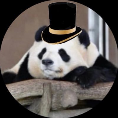 8qo2M8In4A3096's profile picture. 