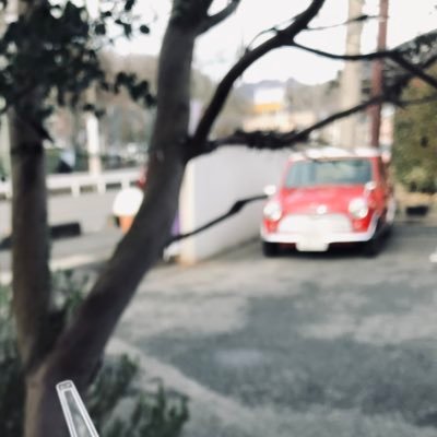 のほほほん/Cooper1.3(cab)/GT7/Z50J/SR-T101/X10/F500eco/Ludwig-LM400/A-Zildjian/SEMI SKELETON/Trout/Tigers-OHYAMA/Old-Clothing