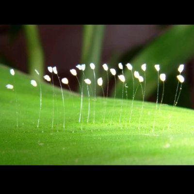 nguyenhuong571's profile picture. Take everything !
Chane life!