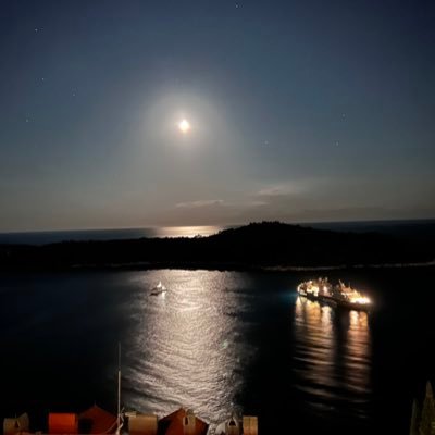 tino1726's profile picture. EEM | Ancora imparo | fortis fortuna adiuvat E🫶P