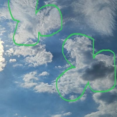 chang_watergun's profile picture. 