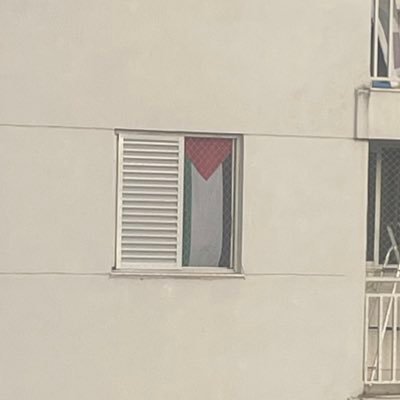 jadocagosolo's profile picture. .