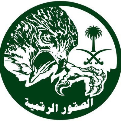 صقر من الصقور السعودية يذود عن وطنه 🇸🇦💚 #الصقور_الرقمية_السعودية