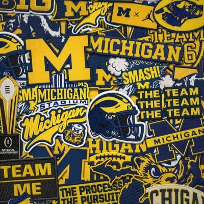 ElmoreTodd17405's profile picture. 2x banned survivor of X, Go Blue,