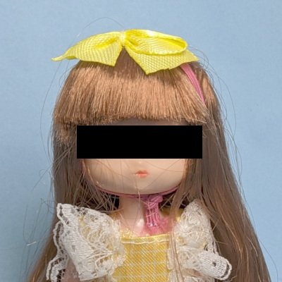 お出かけは当日の心身の状態次第で中止したり、途中で電車降りたり、大幅に遅れることがあります。