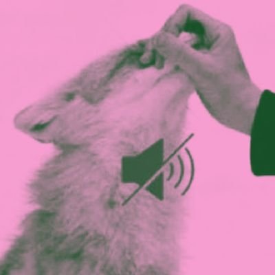 kodokmakanjeruk's profile picture. suka kodok dan suka jeruk.