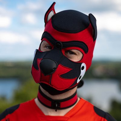 NSFW | 18+ | he/him | 30 | DE/EN | 🇨🇭🏳️🌈 | Taken by @pup_snufkin 🫶 | https://t.co/0X4buuoGq0