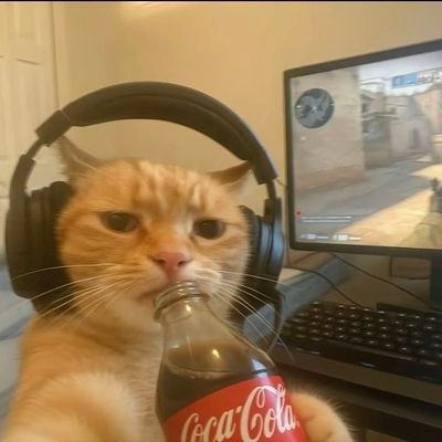 Fortnite, Call of duty, Minecraft, League of legends, Xbox etc....🎮
