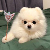 Vell (@vell118522) 's Twitter Profile