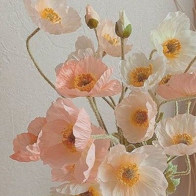 Rmy8lQsX9c88694's profile picture. 国医志望の国理4年 春から新卒社会人 情報収集&記録用 無言フォロー失礼します 国立理系 26卒 再受験