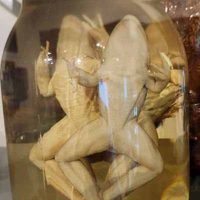 mdhiggs's profile picture. 