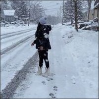 ElaineEden (@8hob84wxvmra3) 's Twitter Profile