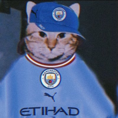 mcwfcluvr's profile picture. man city women + barca femení (yes i know)