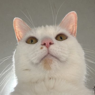 あきおさんのプロフィール画像