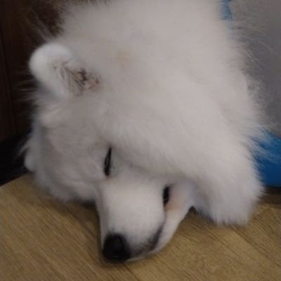 31gKtgpijY8049's profile picture. 