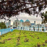 Nematullah Ishaqzai (@nematullahishaq) 's Twitter Profile Photo Nematullah Ishaqzai (@nematullahishaq) 's Twitter Profile Photo