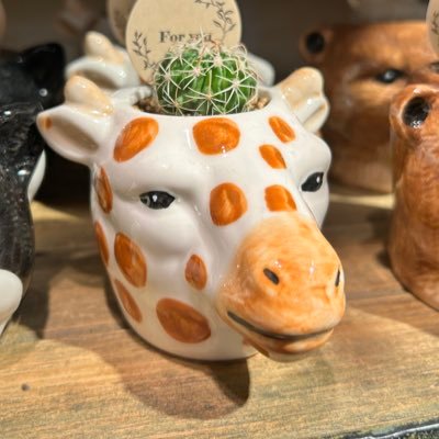Whisky_Absinthe's profile picture. なにもありません。無敵です。