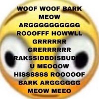 JE0K (@n0sh1tk33pg01ng) 's Twitter Profile Photo