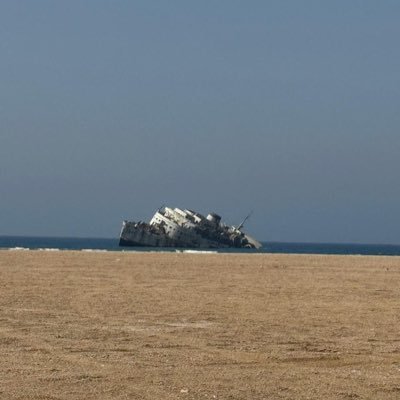 bebucket2's profile picture. الله يصلح الحال