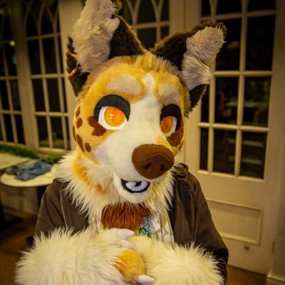 he/it // 22 🏳️⚧️ // 🌿 ecologist and -⃝⃤ // full time collie in my diva era // 🪡 @felisnecropolis // 🔞