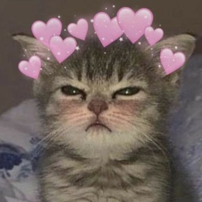 Missa_Cat's profile picture. 🐱