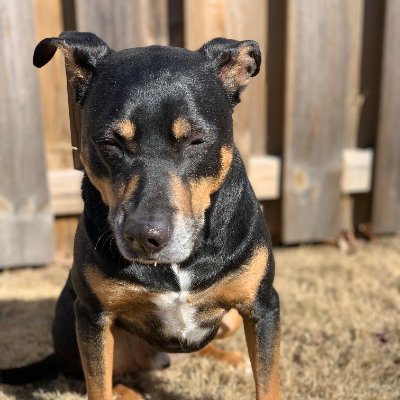 roundbone2k's profile picture. 