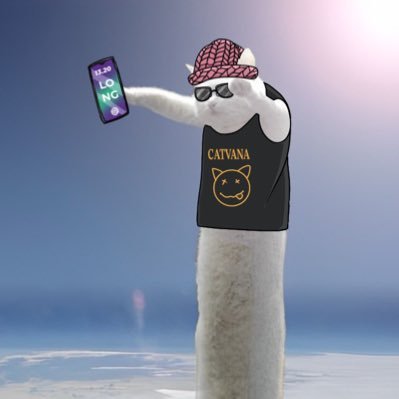 Join the NobikoCoin TG: https://t.co/E9nuHA55kO