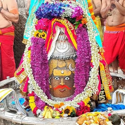 पूर्व प्रदेश अध्यक्ष,भारतीय जनता मजदूर मोर्चा मध्य प्रदेश (BJP)