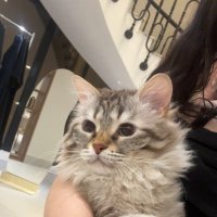 . (@skwl1_) Twitter profile photo