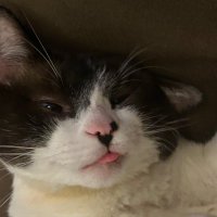 Aline (@nkd_aline) 's Twitter Profile